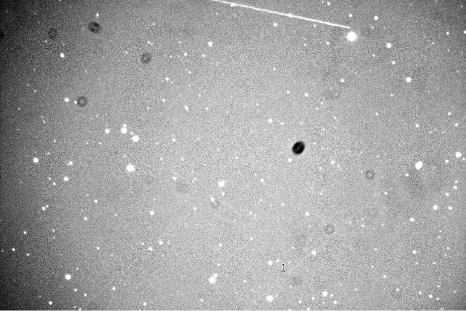 Artifact Image